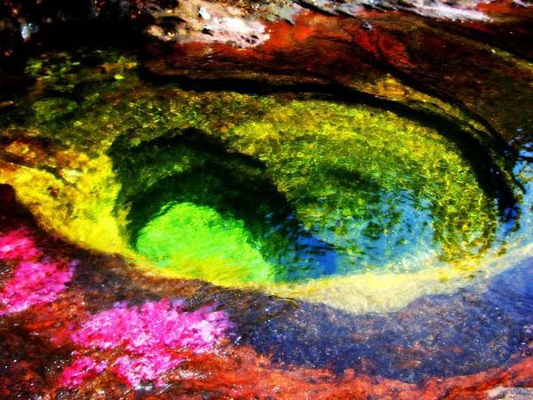 Five unusual places in this world Cano Cristales