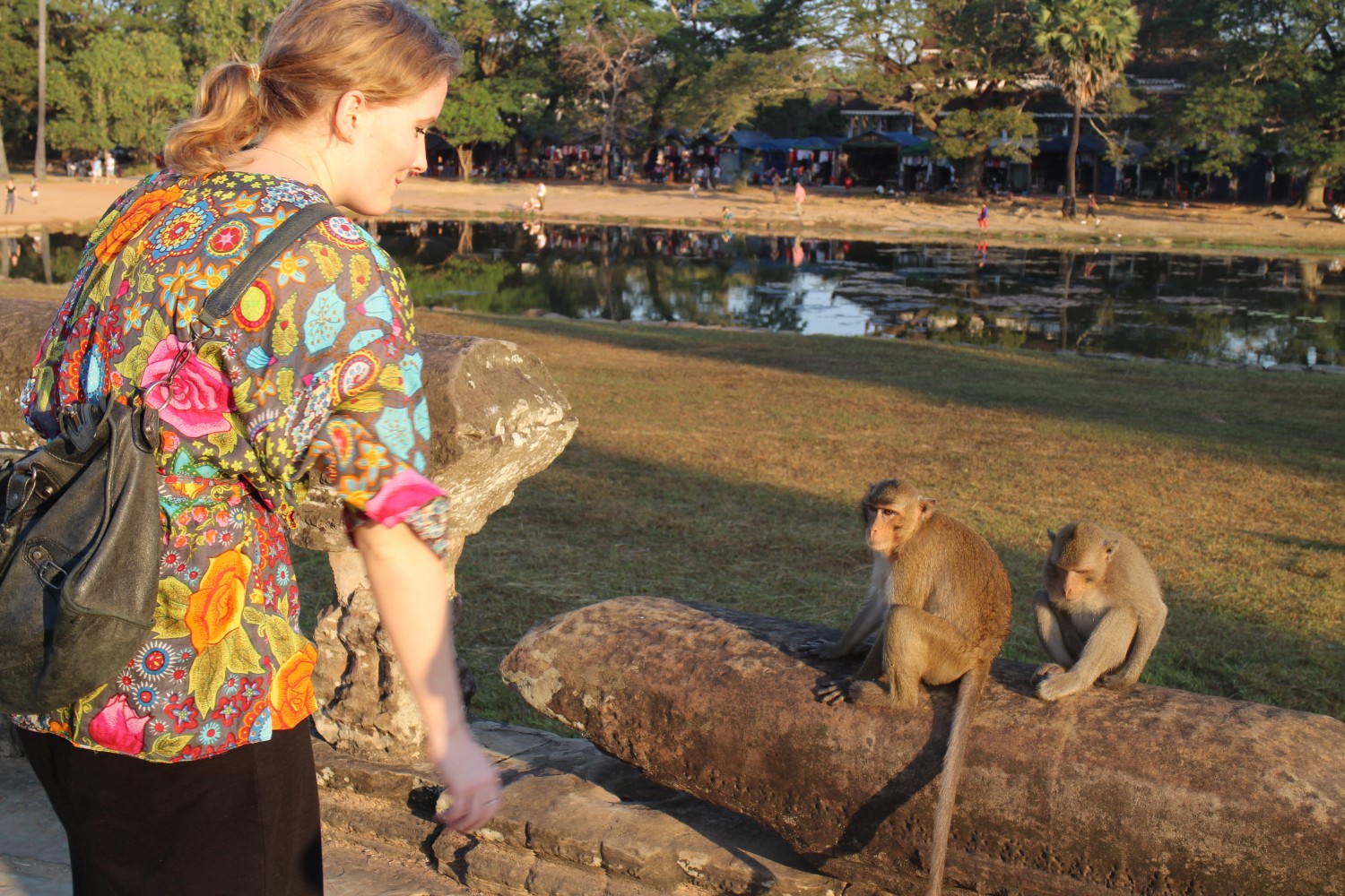 Angkor Wat Monkeys
