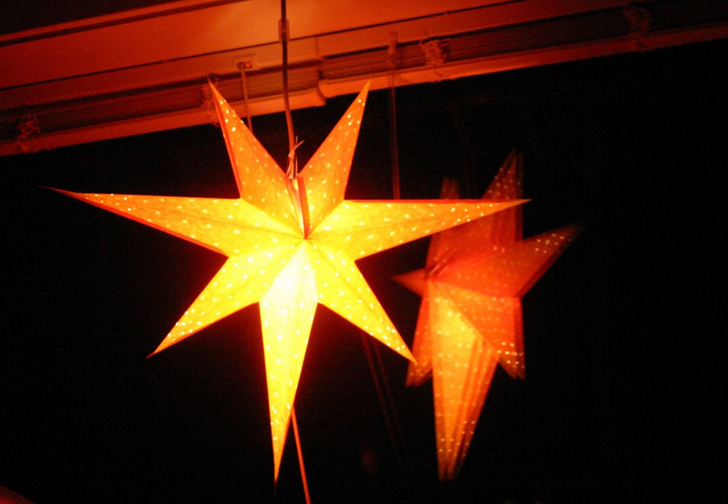 Grønlands julestjerne / Greenland's Christmas star | Grønland ...