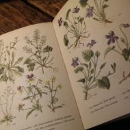 Gamle botanikbøger