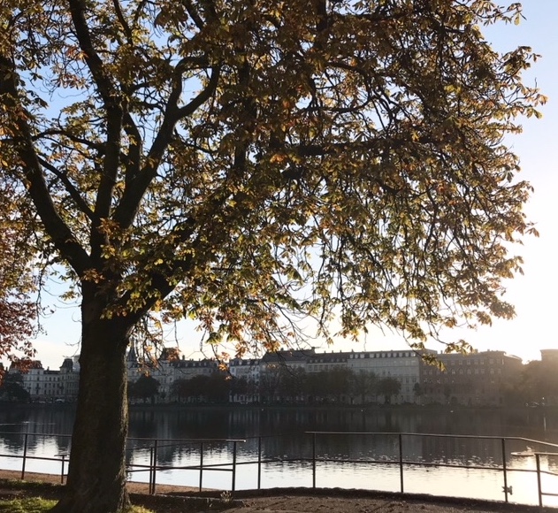 efterår i københavn søerne urbannotes.dk