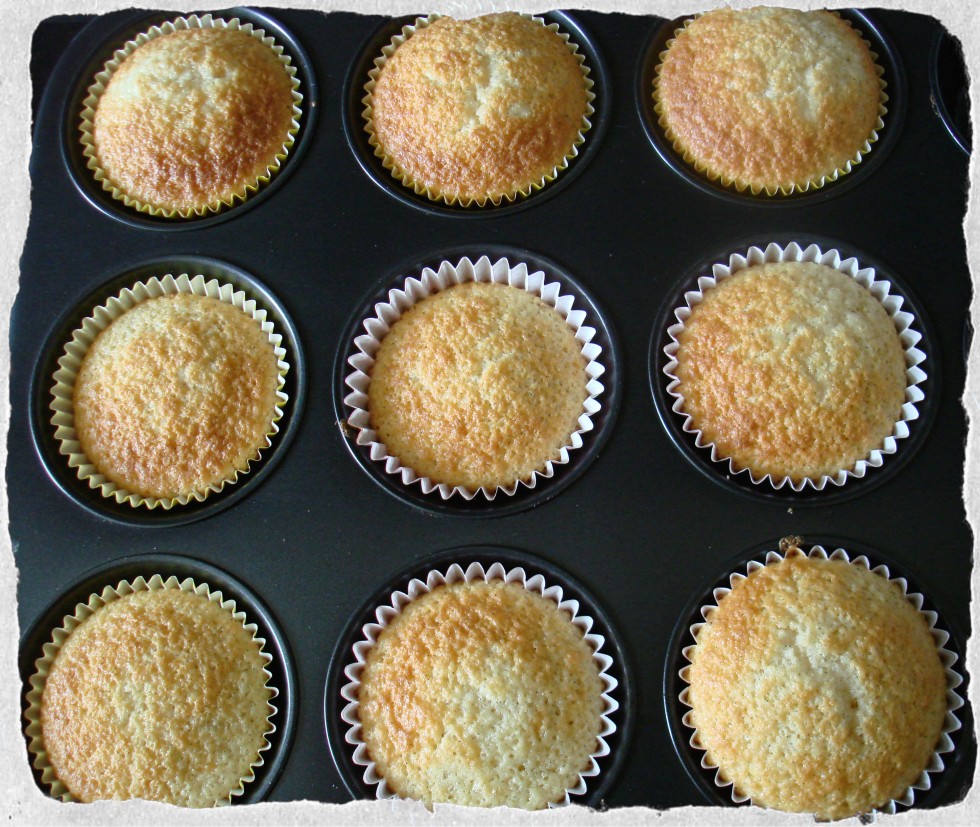 Vanilla cupcakes straight from the oven