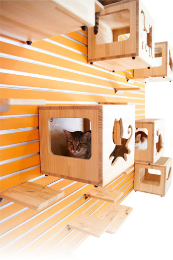 Modular cat climbing wall visual