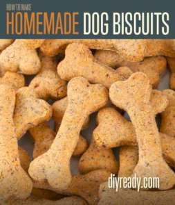 Title Image homemade dog biscuits 01