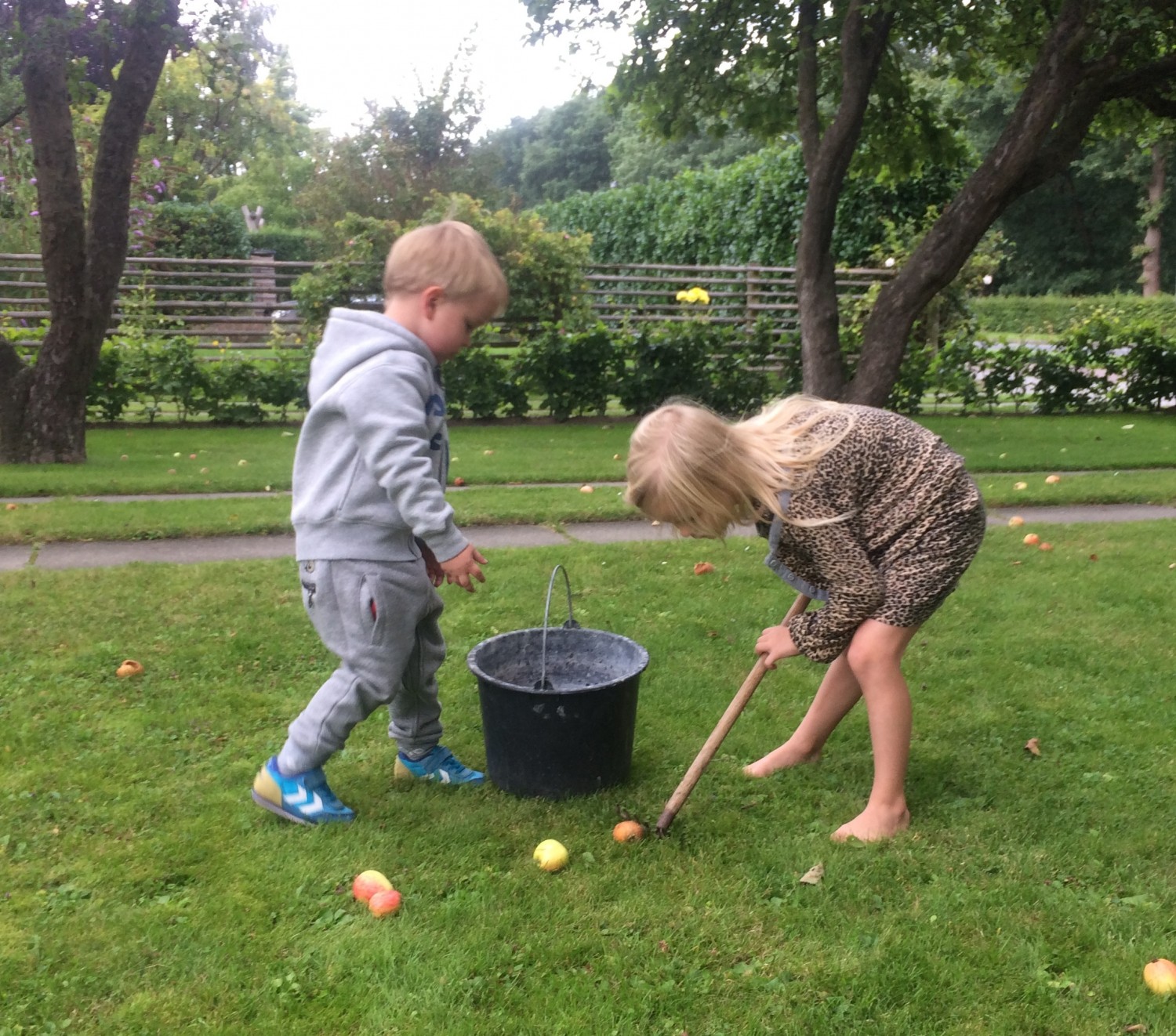 Børnene samler æbler