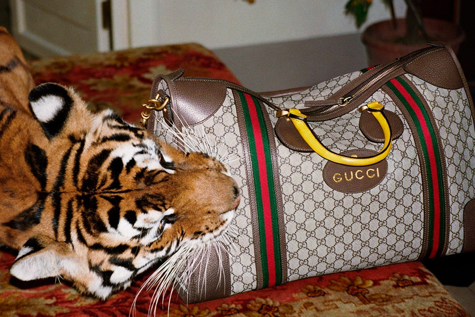gucci-spring-summer-2017-campaign-6