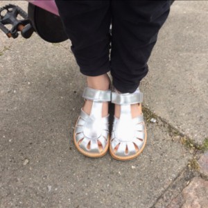 Angulus sandaler | Testfamilien