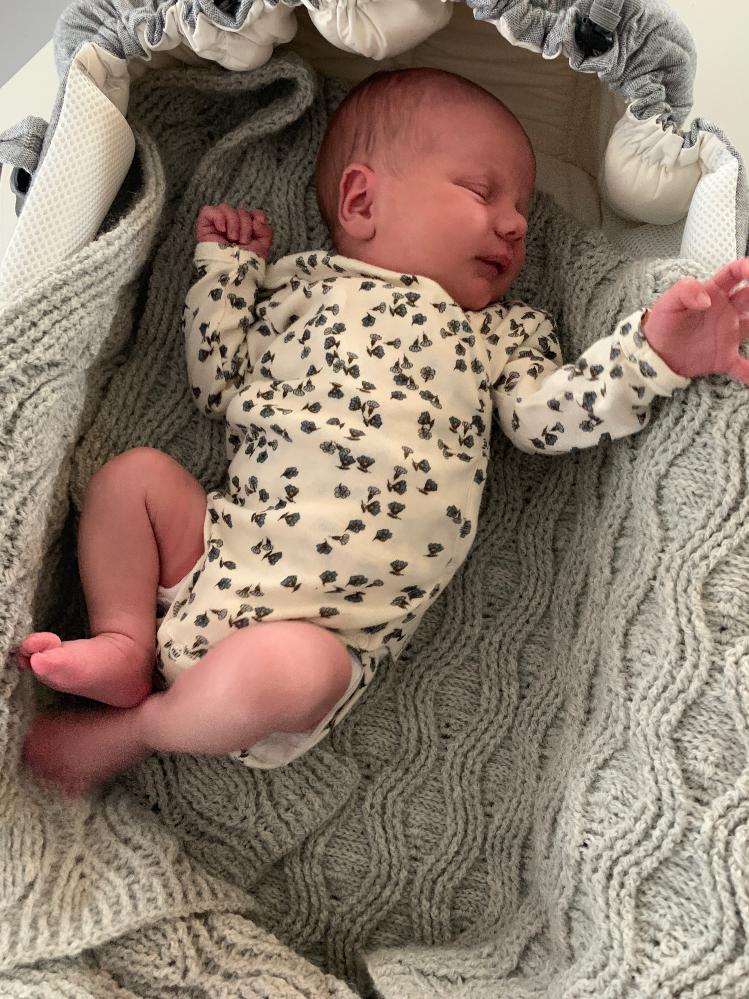 TEST af Najell Babynest Sleepcarrier | Baby | Testfamilien