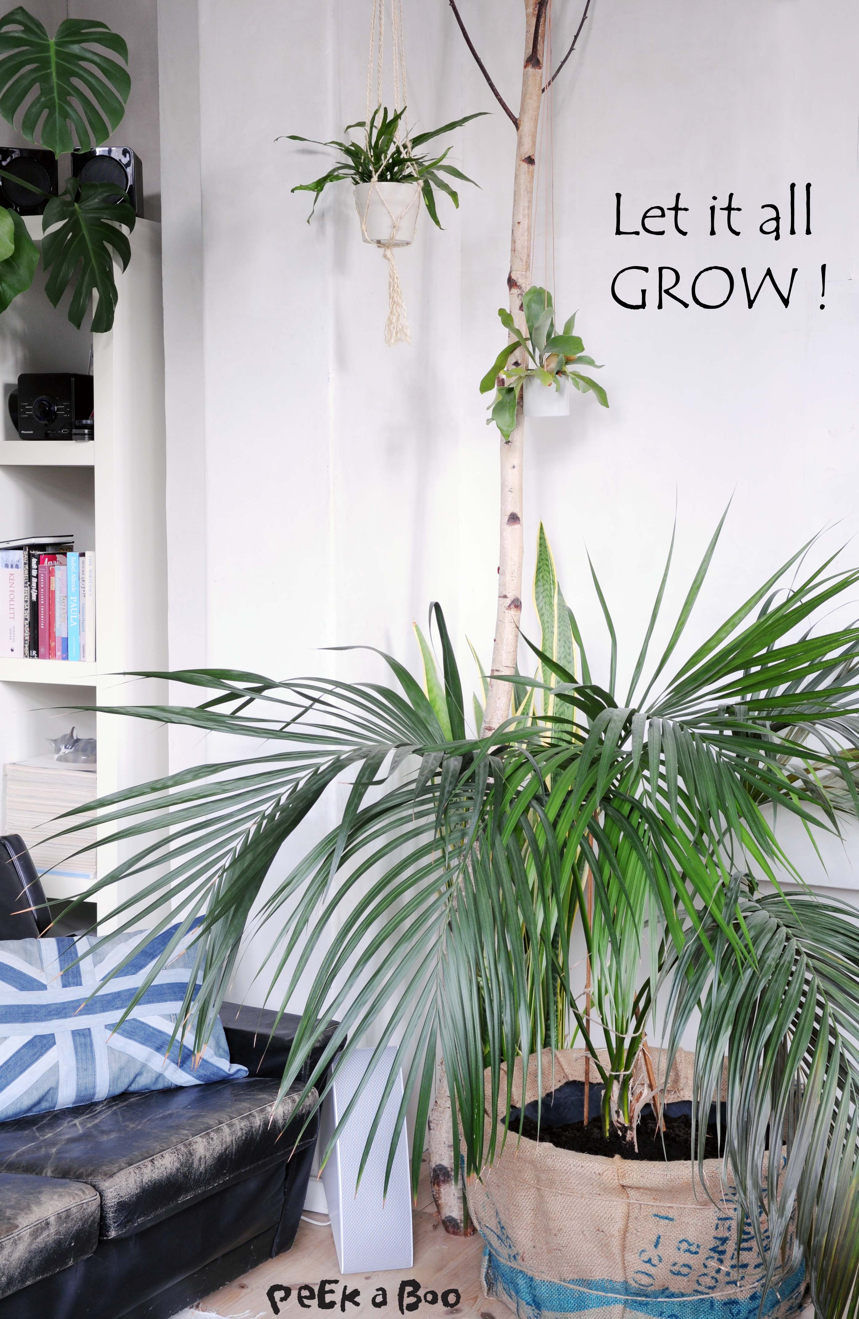 Green Living in your livingroom, makes the air in your room cleaner, and living with plants makes you happier. It's been proven, so go make your place a better and greener home.
