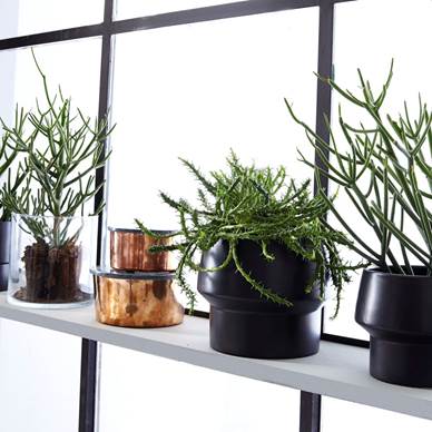 IdéMøbler also wants the green plants to move into the homes, so here you see new pots from them.