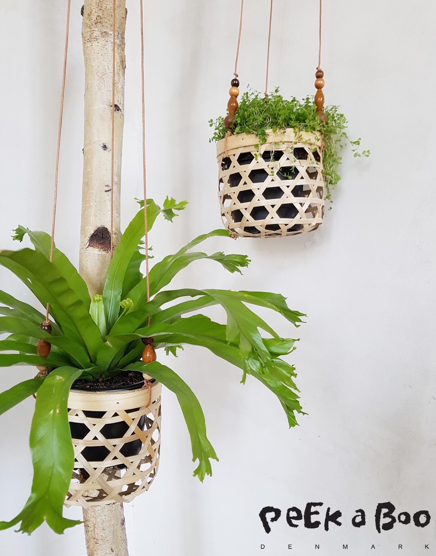 DIY hanging pots for your plants.