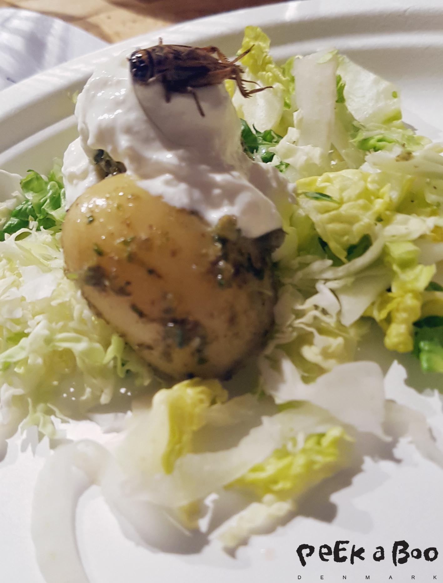 crick'it serverer sommersalat med nye danske kartofler i fårekyllinge pesto toppet med ostecreme og syltede grønsager.