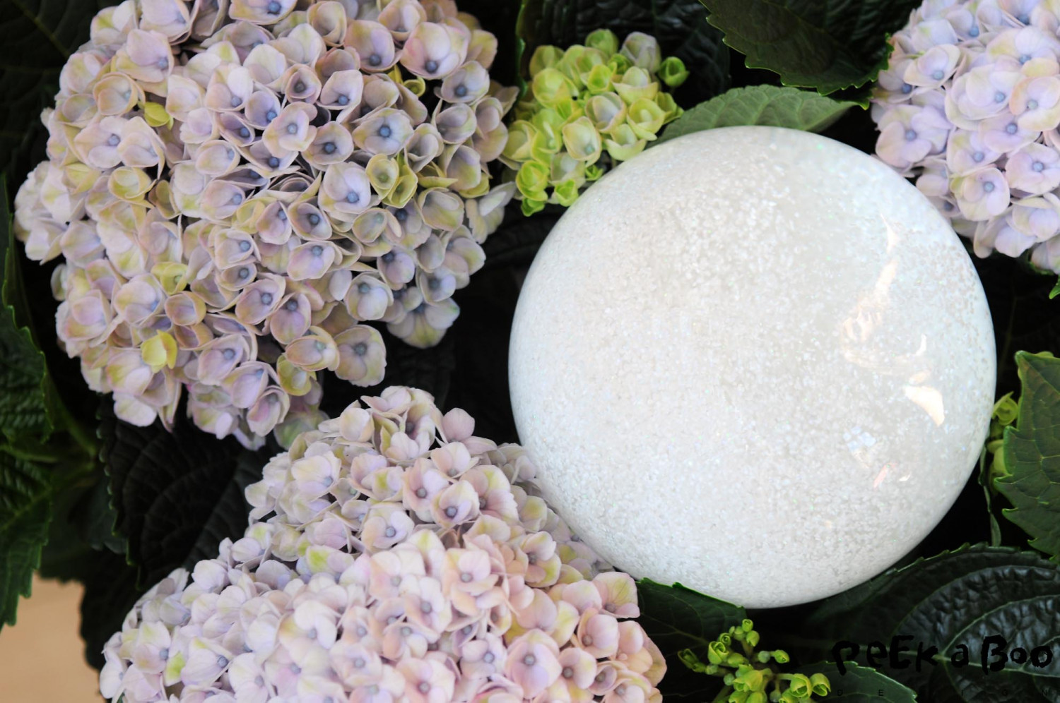 I couldn't help trying to implement the snowglobe to the blooming Hydrangea..Just because they both are so pretty. The Hydrangea is from the danish grower Møllerhøj and are the Magical Hortensien that blooms for at least 150 days.