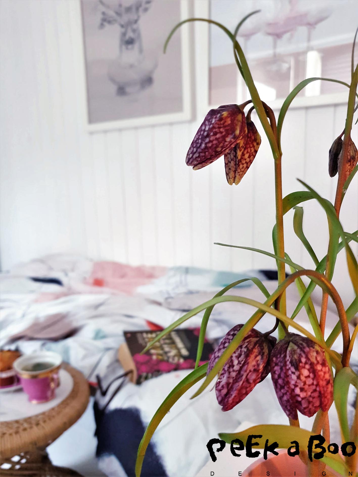 Fritillaria meleagris is one of my favorits an dtherefore it both comes inside my home and in pots outside. 