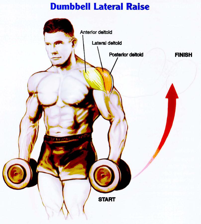 DUMBELL-LATERAL-RAİSE