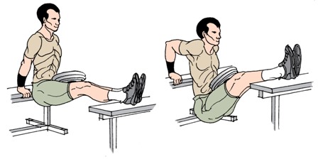 weighted-bench-dips