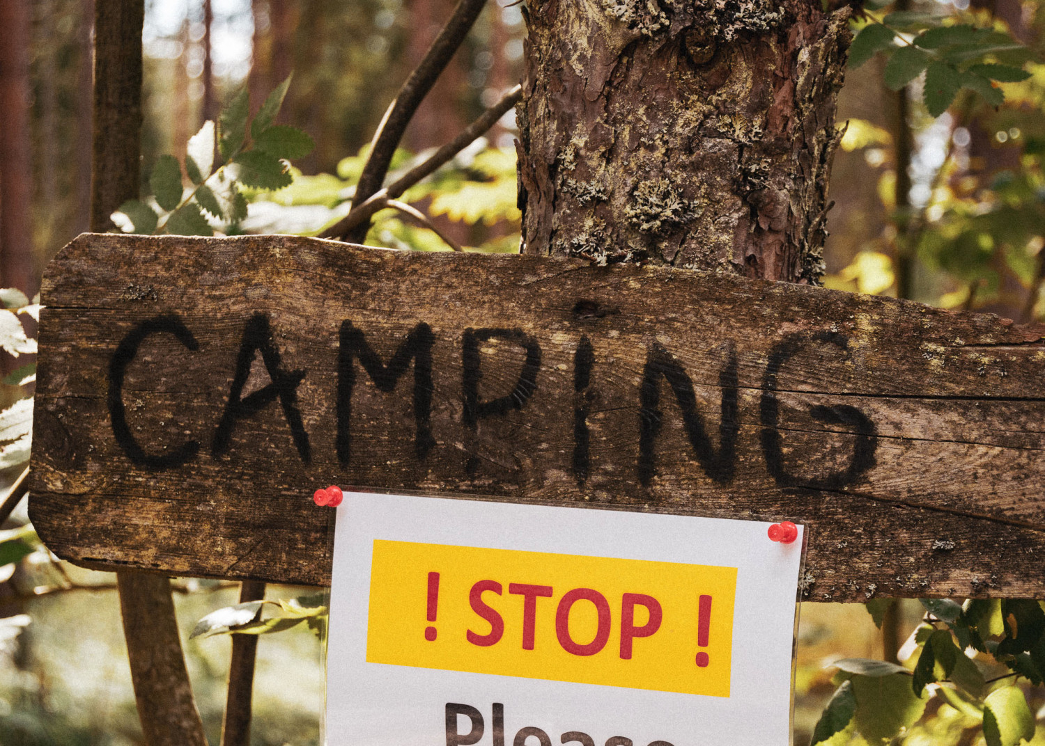 camping, sign, wooden, træskilt, woods, skov, wilderness camp, vildmarkscamping