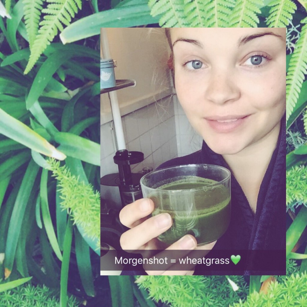 Wheatgrass, shots, hvedegræs, morning ritual, healthy shit, go green, organic, raw, health, wake up, bottoms up, simply food, simply fit, vegan, easy, holistic