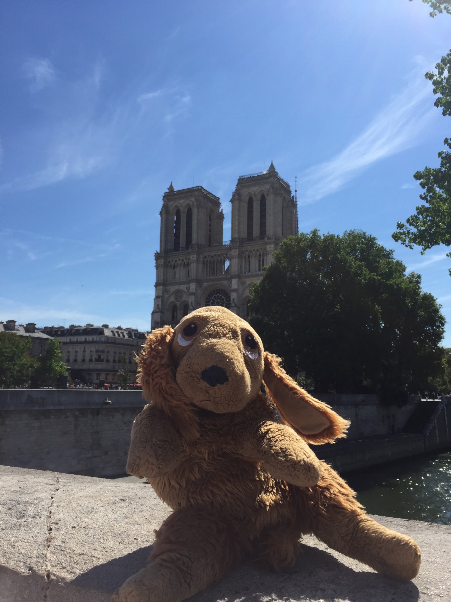 Bjæf ved Notre Dame