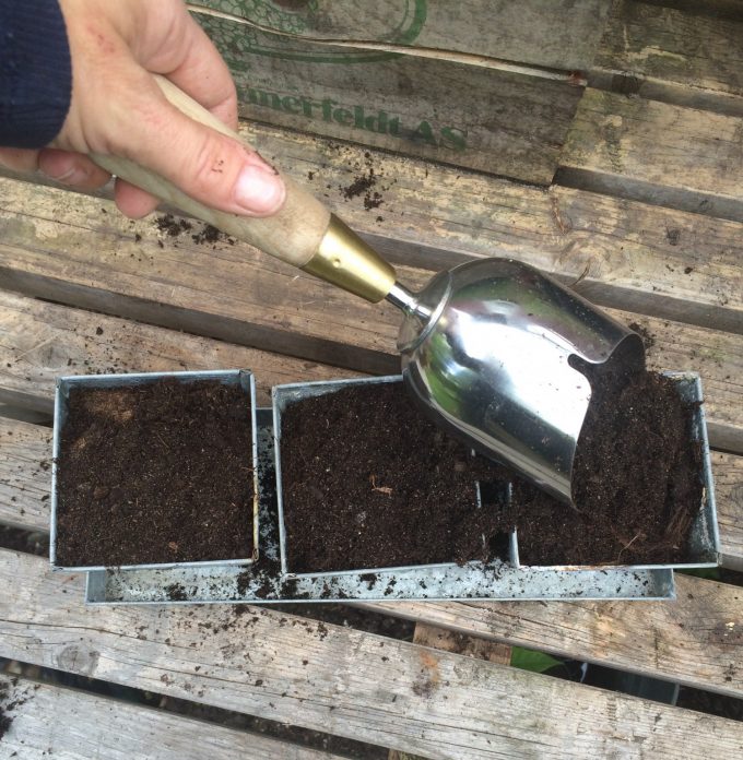 burgon-and-ball-compost-spoon