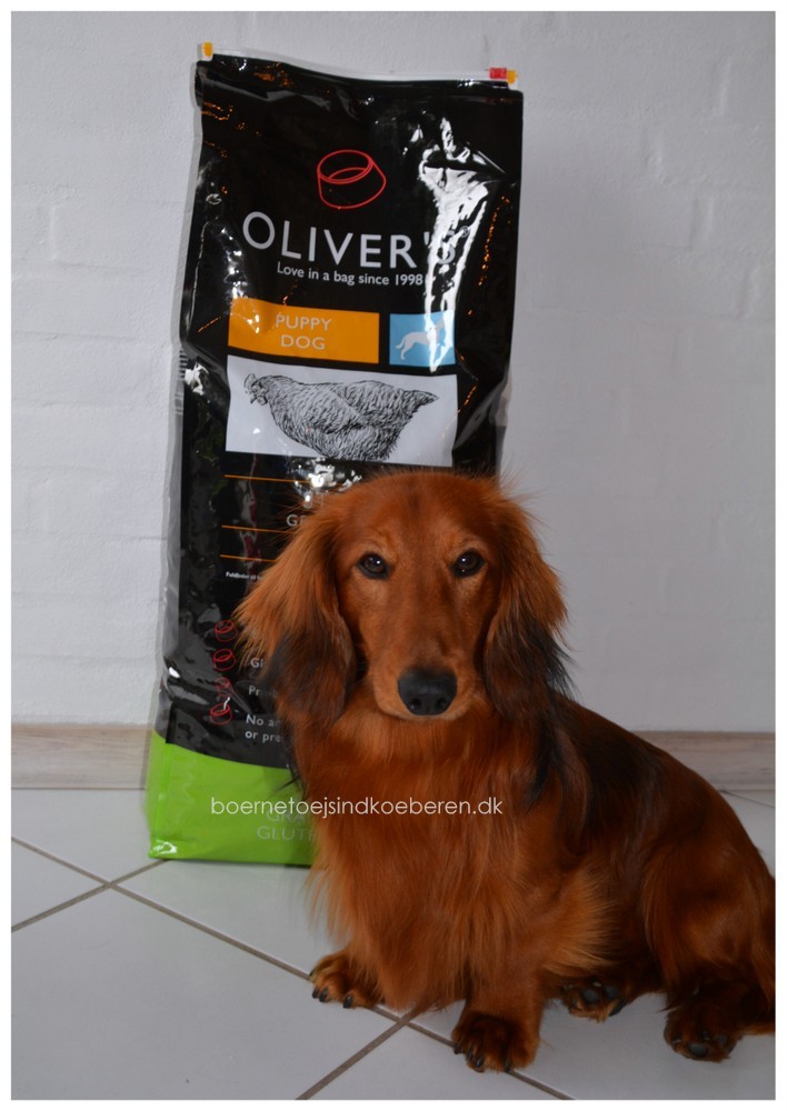 Hundefoder fra Olivers Petfood
