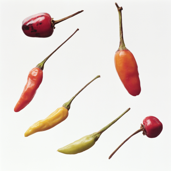 Chili Frugt og Grønt Sanseoplevelser og Sundhe