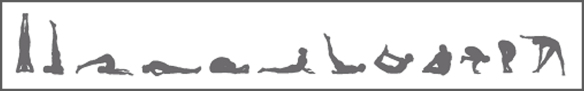 Yoga 12 basisøvelser