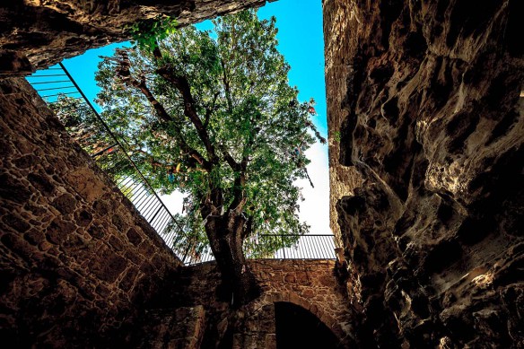 Cyprus_Pafos_Agia_Solomoni Catacomb_photo_Henrik_Elstrup
