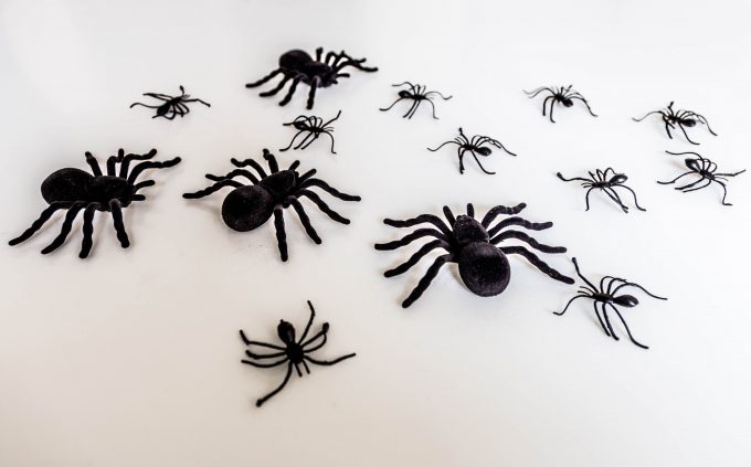 Happy Halloween Spider figures close-up Marina Aagaard fitness blog