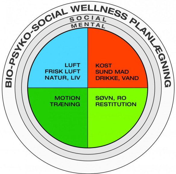 Lev længere sundere og gladere Bio-Psyko-Social Sundhed og wellness Marina Aagaard blog