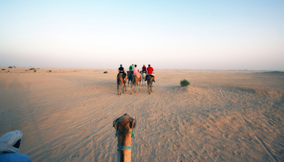 Tusien Sahara udsigt fra kamelen w