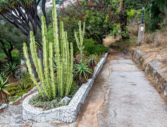The_Alameda_Gibraltar_Botanical_Gardens_Cactus_Marina_Aagaard_blog