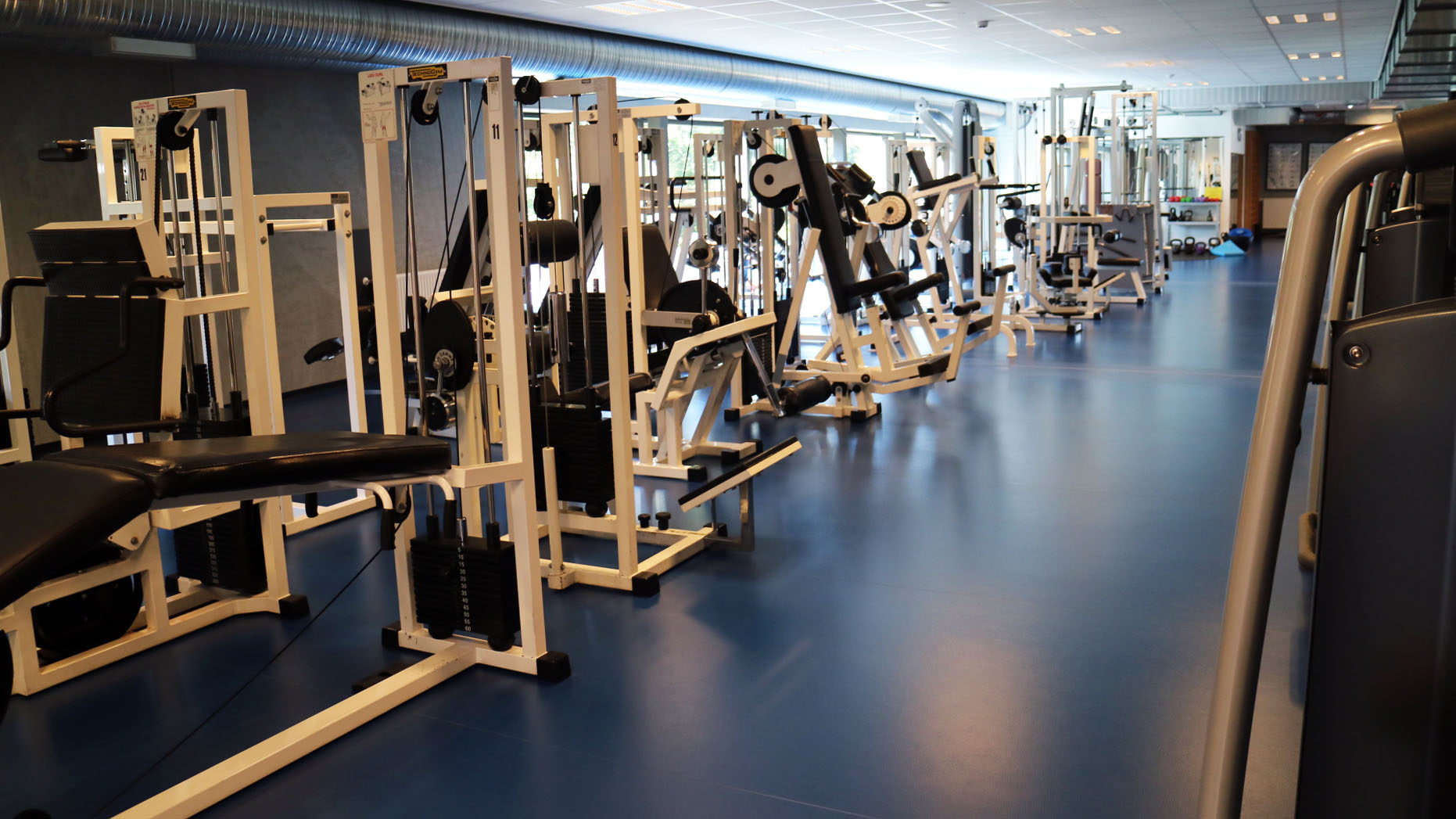 Andenstørste foreningsbaserede fitnesscenter: Vendia Fitness | Træning |  Marina Aagaard