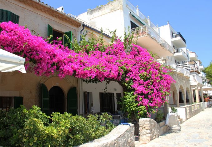 House_flowers_Mallorca_Marina_Aagaard_blog_travel