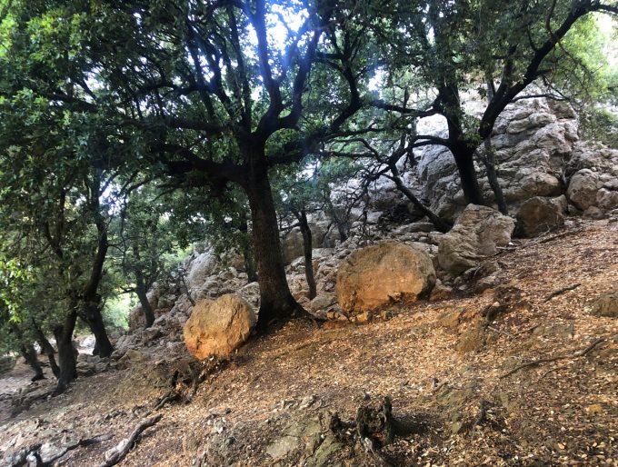 Torrent_de_Pareis_Escorca_Sa_Calobra_Mallorca_gorge_hiking_bouldering_Marina_Aagaard_blog_travel_outdoor_fitness