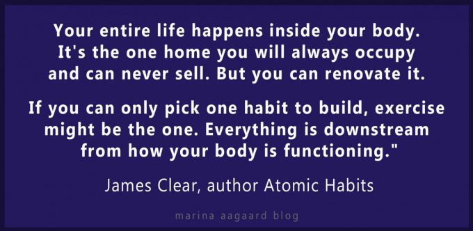 One habit to build Den vigtigste vane Marina Aagaard blog motivation