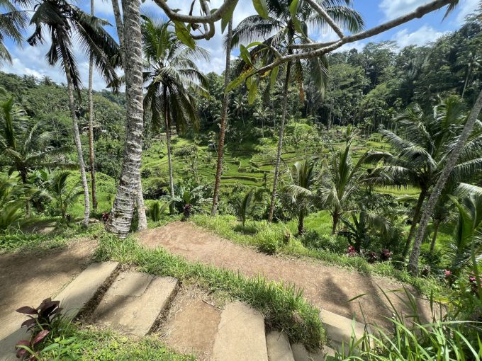 Bali Subak Rice Terraces Marina Aagaard blog travel rejse foto