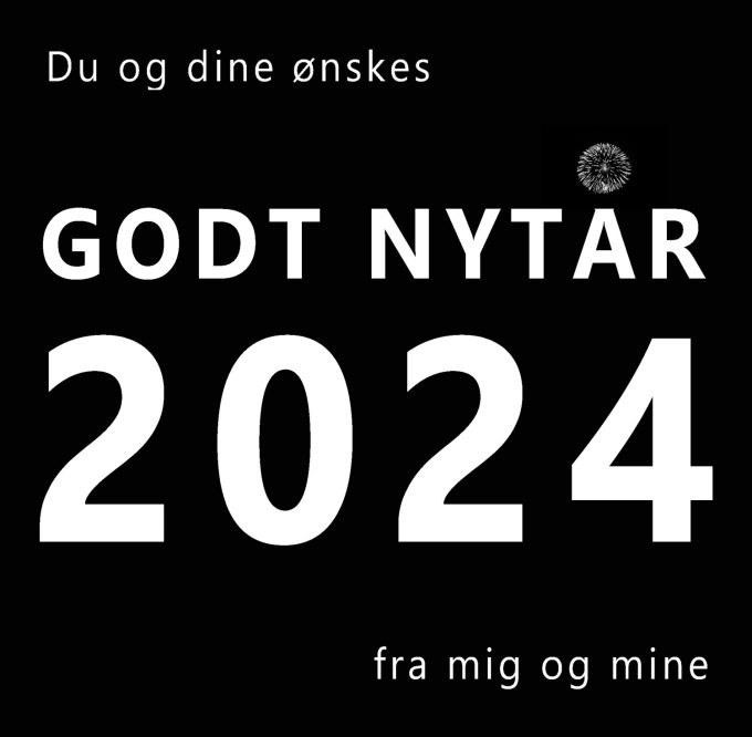 Godt Nytår 2024 Marina Aagaard blog