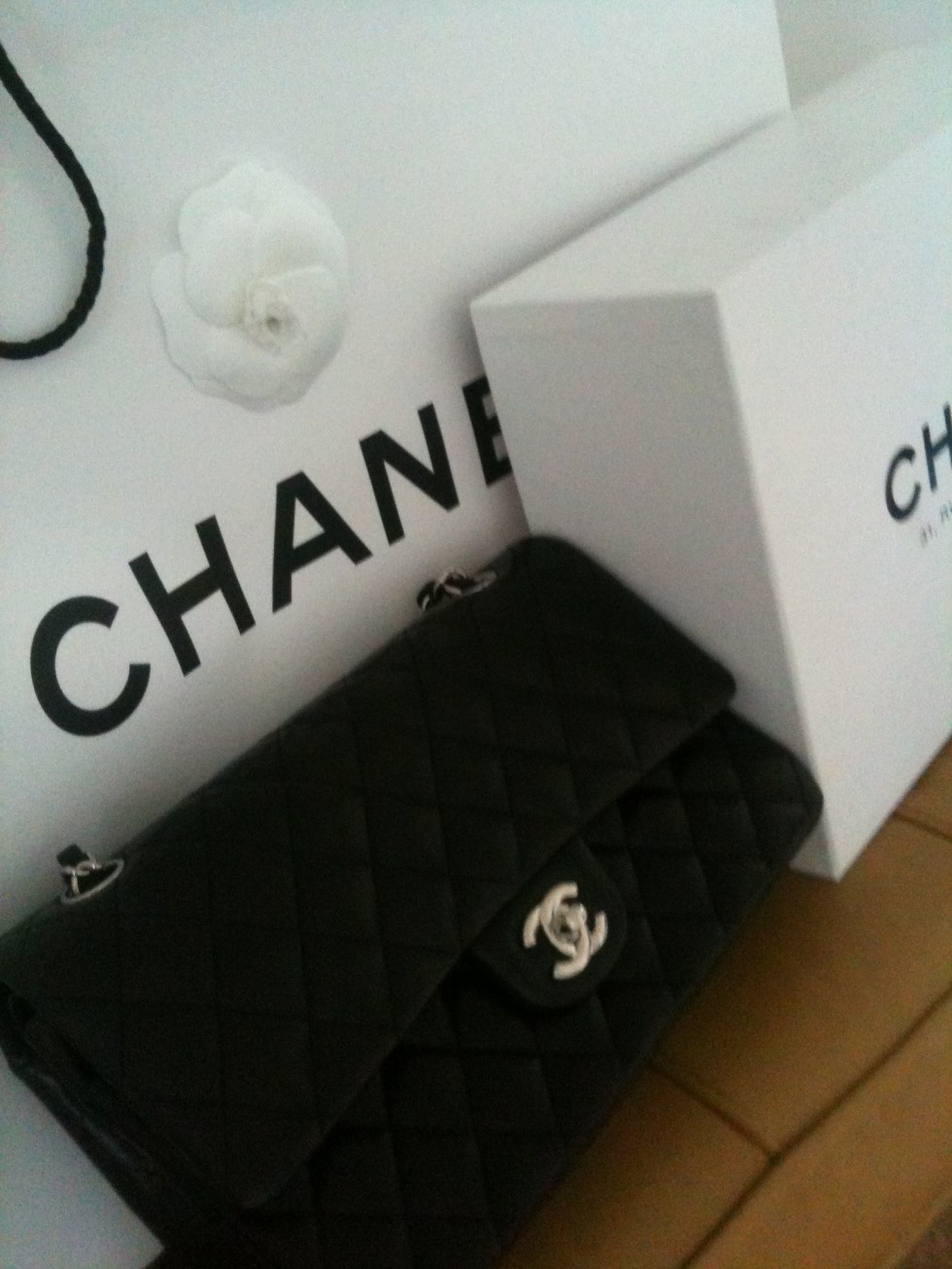 Chanel 2 55 | Ingen kategori | frk vilstrup
