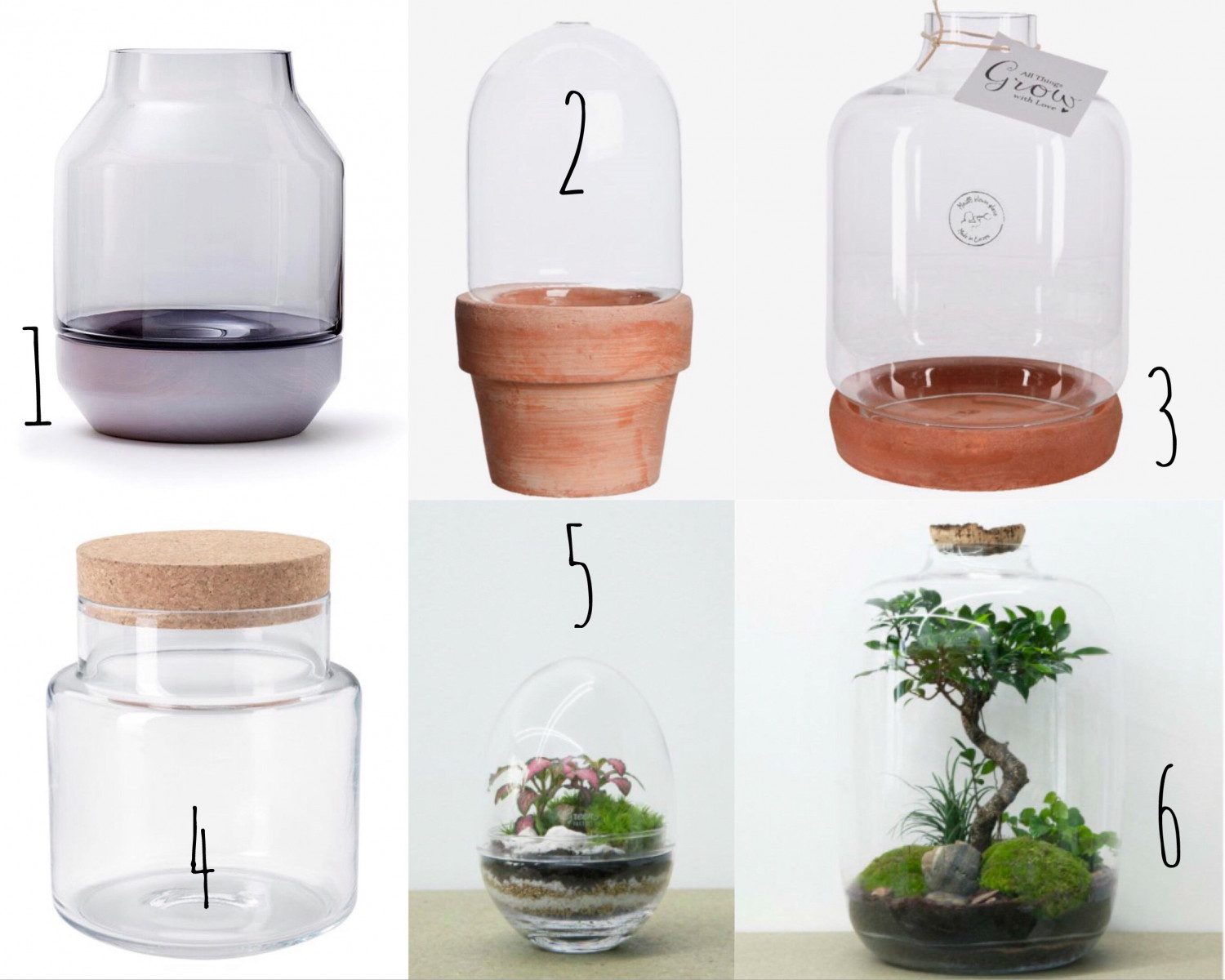 Terrarium: 6 smukke glas til dine planter | Terrariums | Jar and Jungle