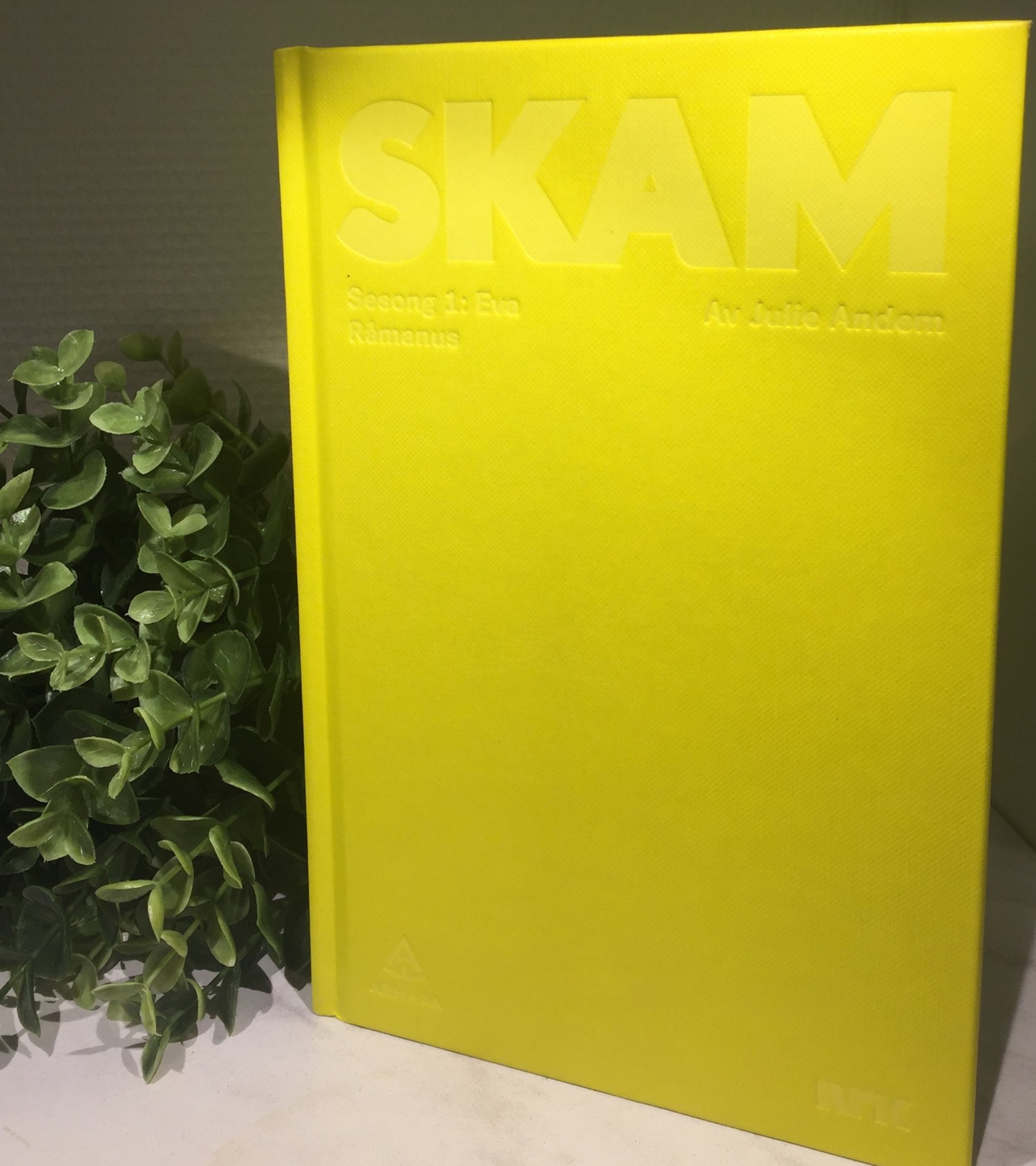 Norge, Norway, SKAM, Skam bøker, SKAM uredigeret manus, Skeivt arkiv, SKAM, Julie Andem, 