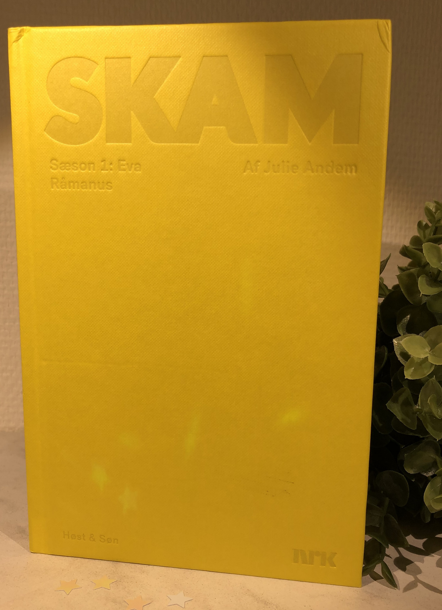 Skam, Skam sæson 1, Sæson 1 af Skam - Eva, Eva's sæson, Skam sæson 1, Råmanus, Julie Andem, Boganmeldelse, Anmeldelse, 