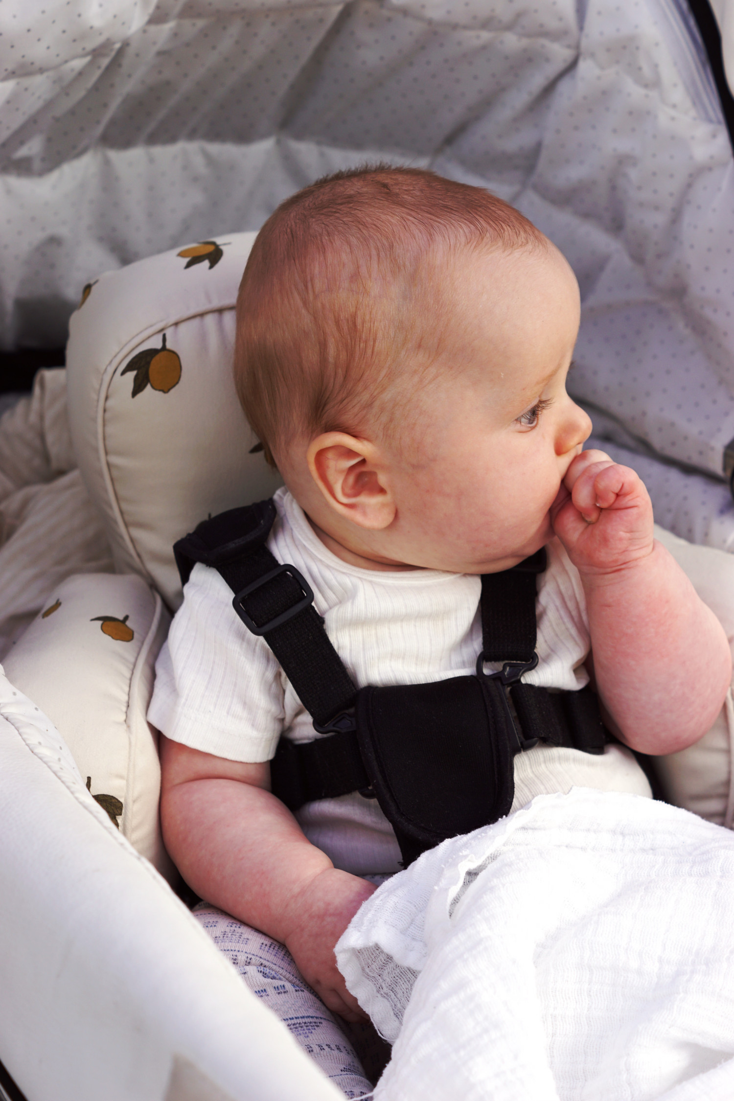 Når baby skal sidde op i barnevognen | Baby 0-2 år | Forstadsmor