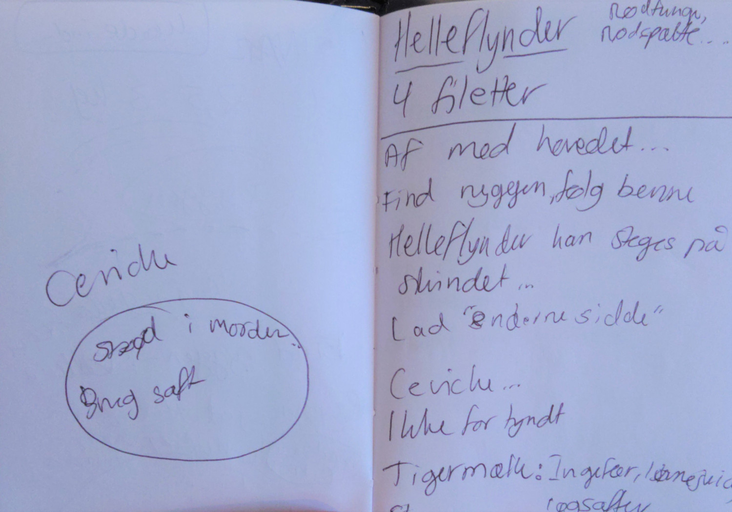 Rebekka Mikkelsens lille sorte bog fra MasterChef MasterClass om fisk