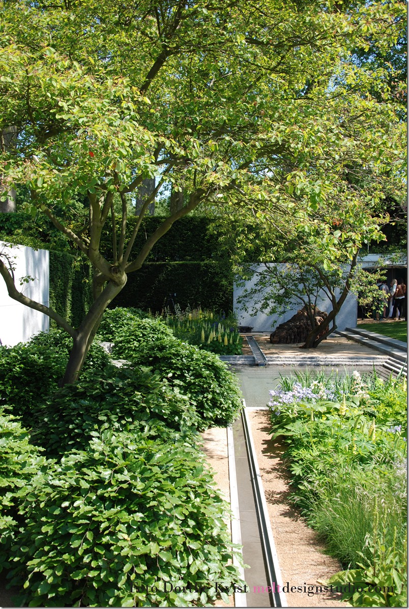 Laurent Perrier garden Chelsea flowershow 2014 Foto Dorthe Kvist Meltdesignstudio  (1)
