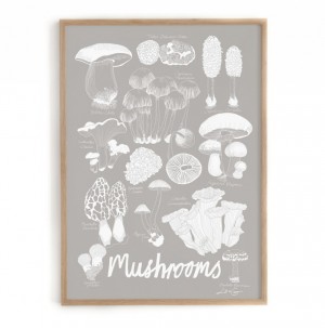 Lisa Grues Mushroom.