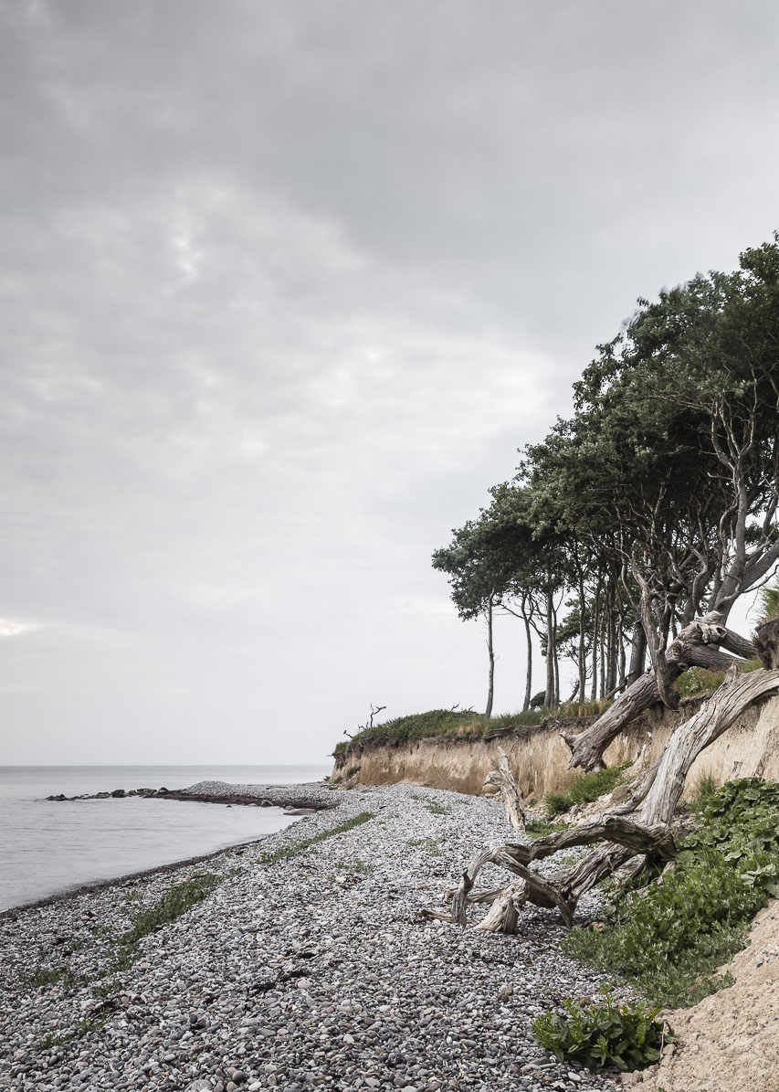 Der hvor skoven kysser havet - Langeland! Plakat fra Foto Factory.
