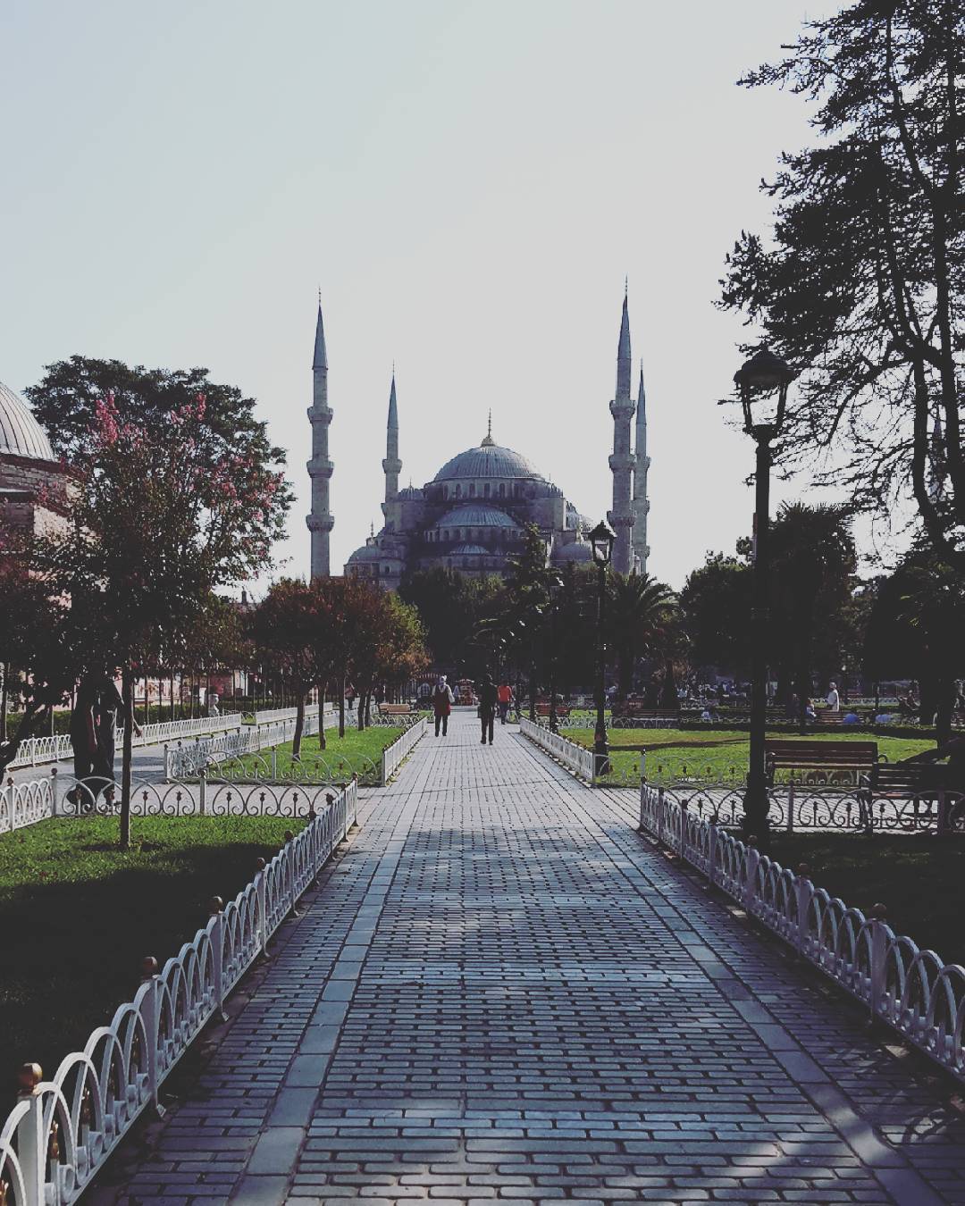 Enjoying #Istanbul  #turkey #sultanahmet #sultanahmetcamii #mosque #bluemosque