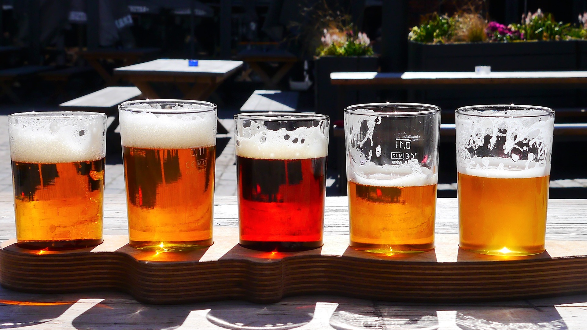 Her er de 10 meste populære øl i verden | Leifshows