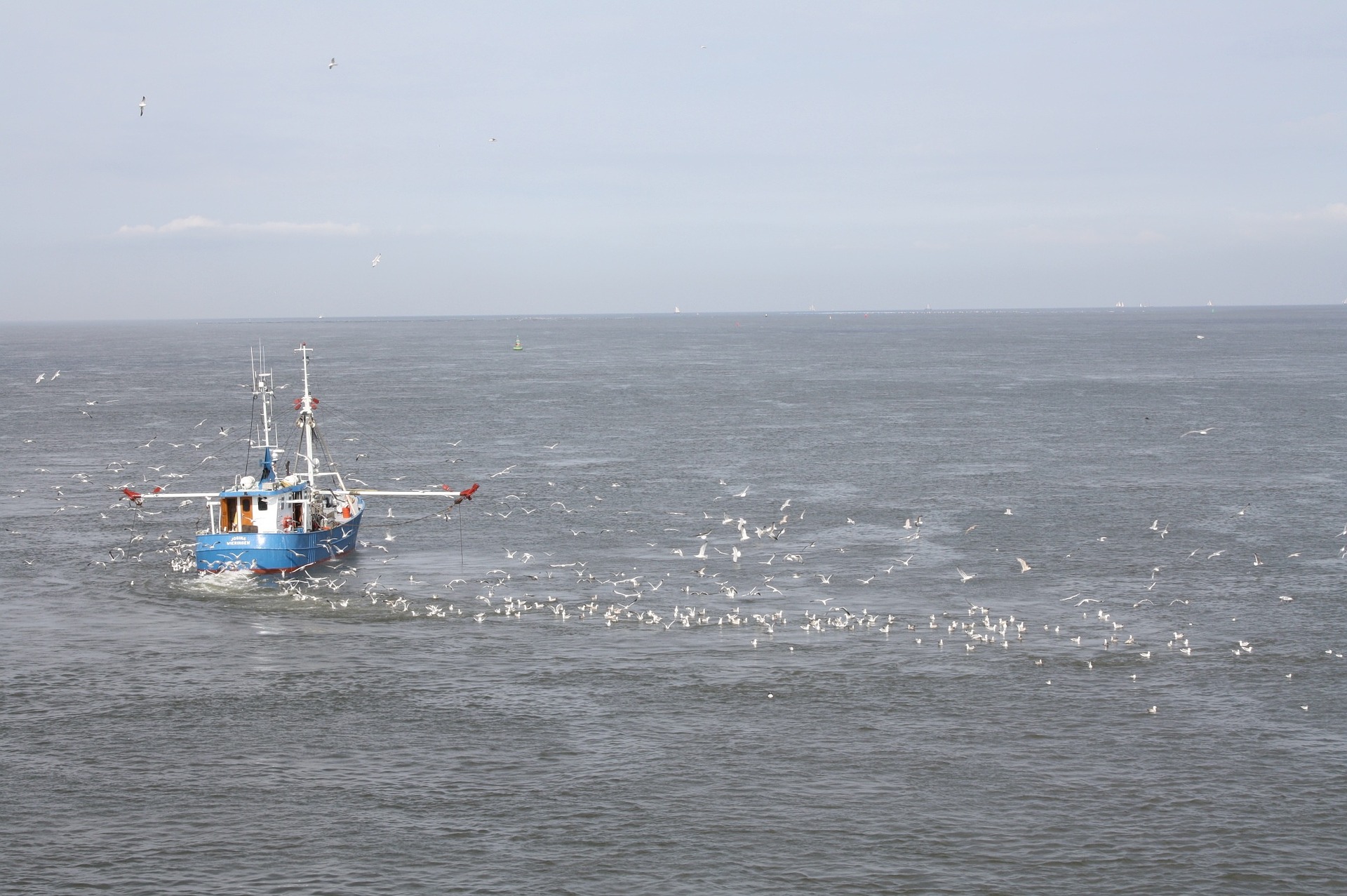 Danmark på trist fiske liste | Leifshows
